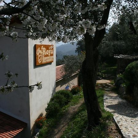 Gite Roya Mercantour Breil-sur-Roya Eksteriør billede